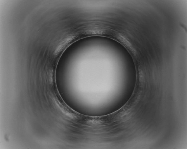 X0000099460537200805161049