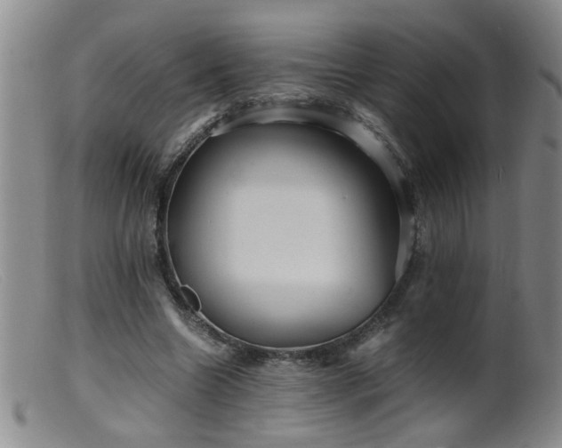 X0000099460538200805161049