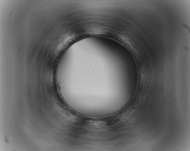 X0000099460539200805161049