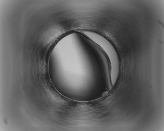 X0000099460540200805161049