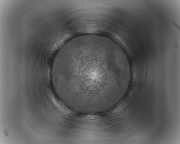 X0000099460542200805161049