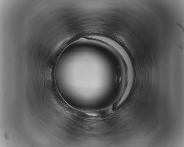 X0000099460543200805161049