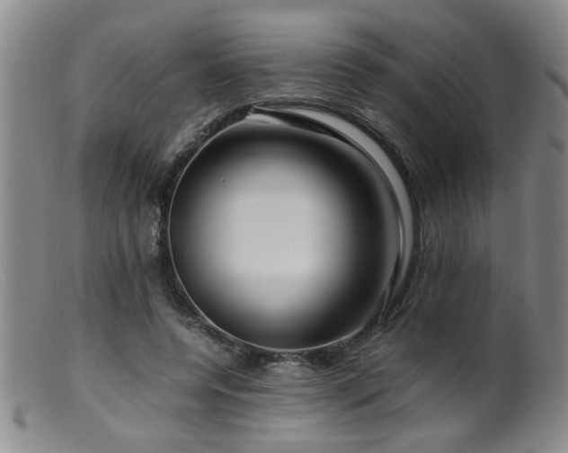 X0000099460544200805161049