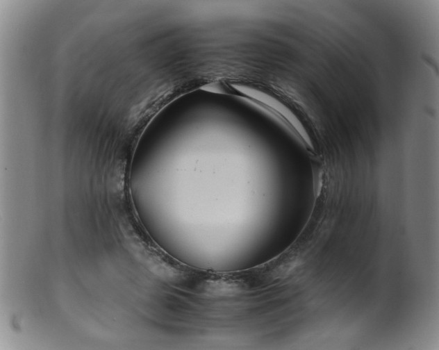 X0000099460545200805161049