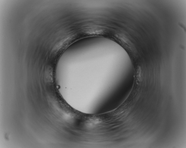 X0000099460547200805161049