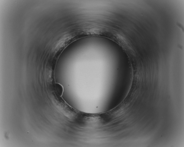 X0000099460548200805161049