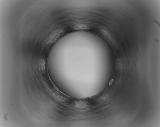 X0000099460549200805161049