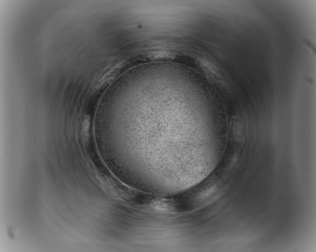 X0000099460550200805161049