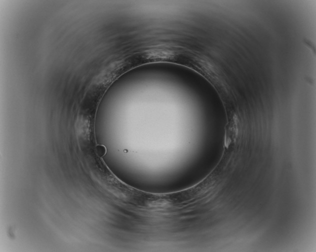 X0000099460551200805161050