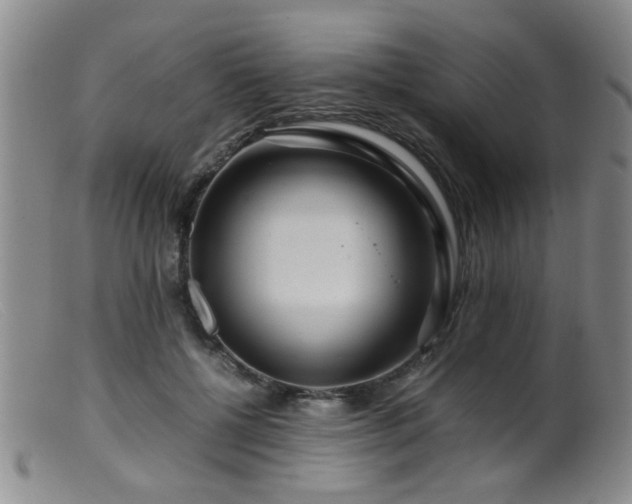 X0000099460552200805161050