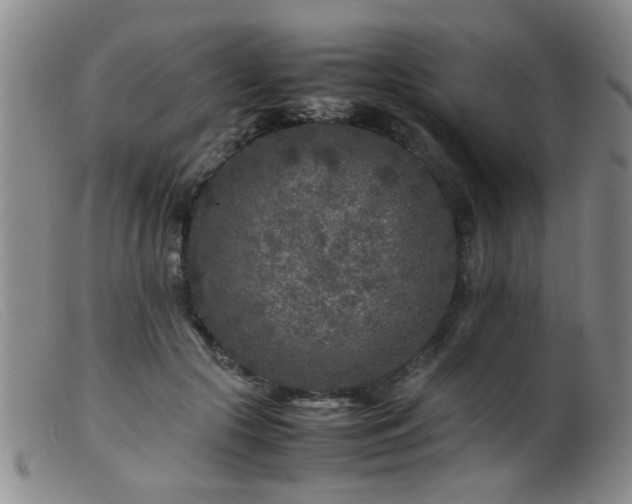 X0000099460553200805161050