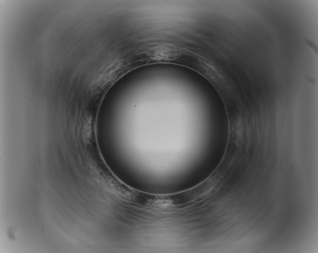 X0000099460554200805161050