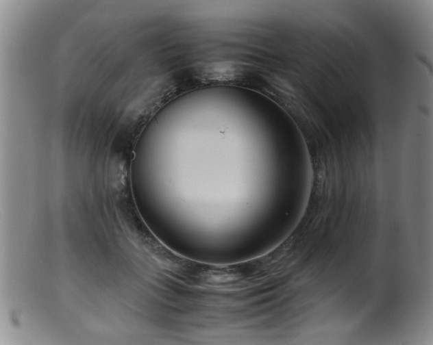 X0000099460555200805161050