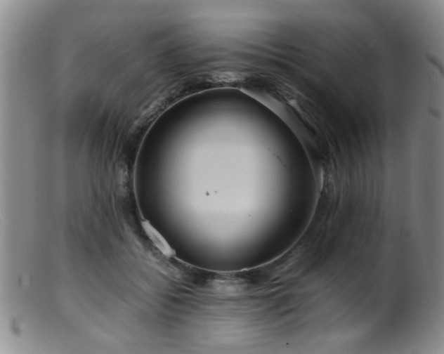 X0000099460556200805161050