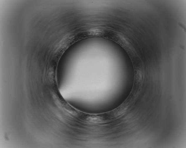 X0000099460557200805161050