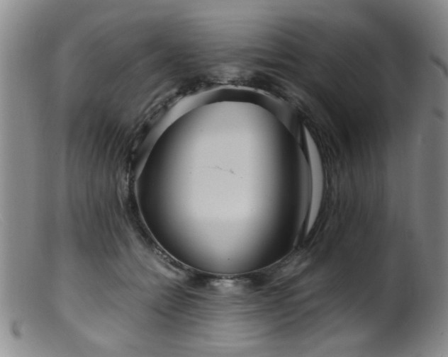 X0000099460558200805161050