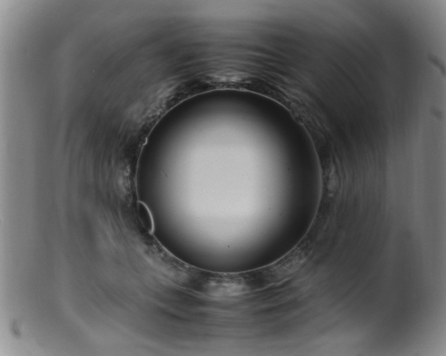 X0000099460559200805161050