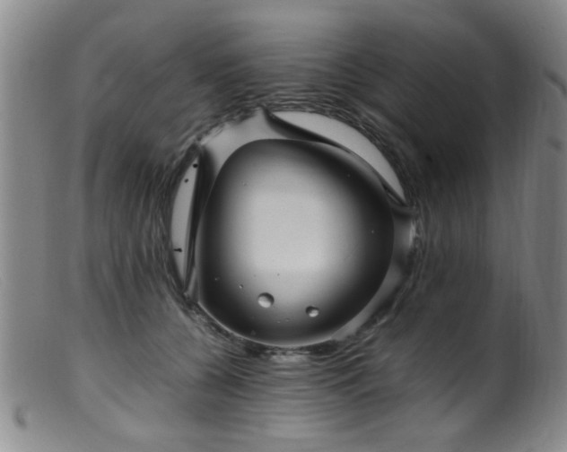 X0000099460560200805161050