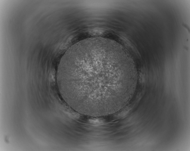 X0000099460561200805161050