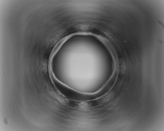 X0000099460562200805161050