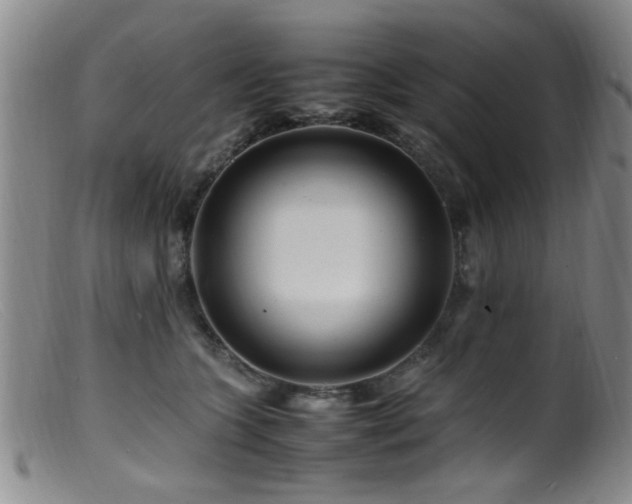 X0000099460563200805161050