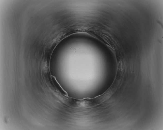 X0000099460564200805161050