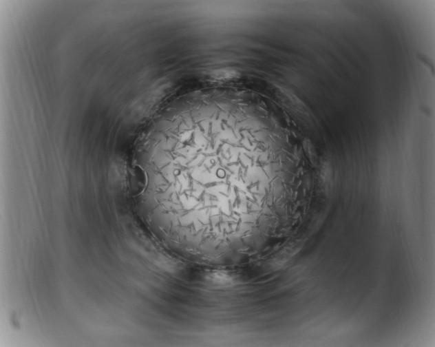 X0000099460565200805161050