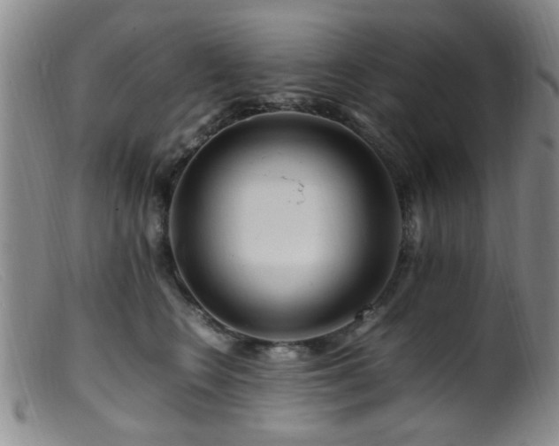 X0000099460566200805161050