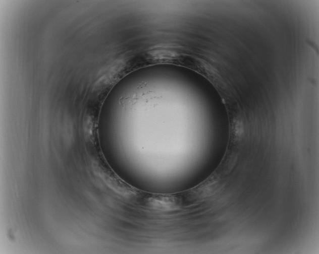 X0000099460567200805161050