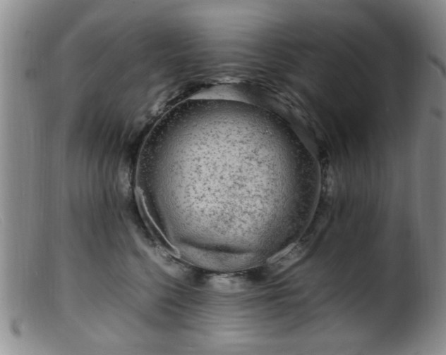 X0000099460568200805161050