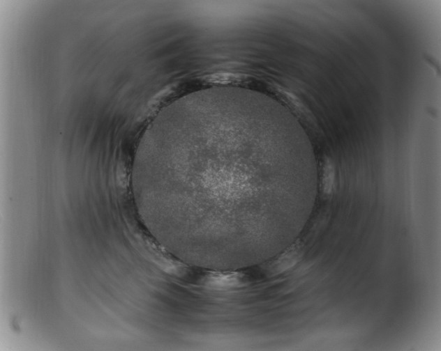 X0000099460569200805161050