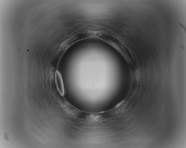 X0000099460570200805161050