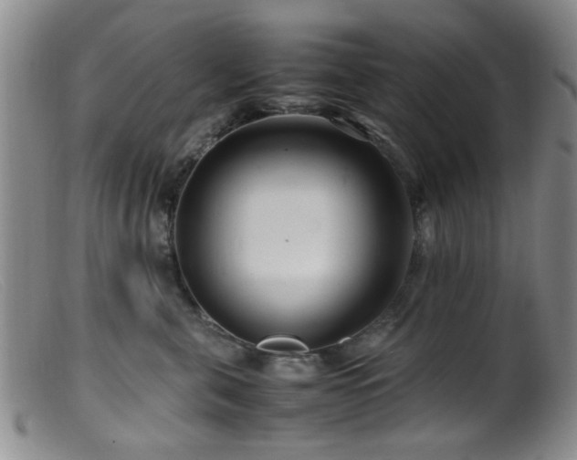 X0000099460571200805161050