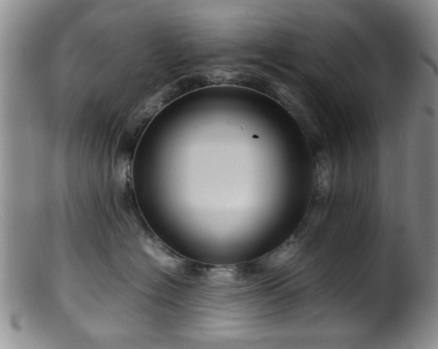 X0000099460574200805161050