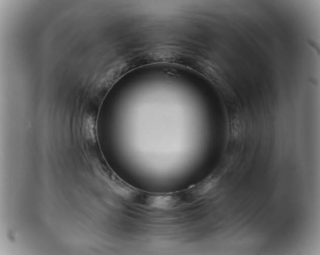 X0000099460575200805161050