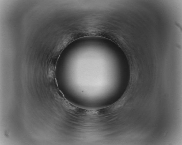 X0000099460576200805161050