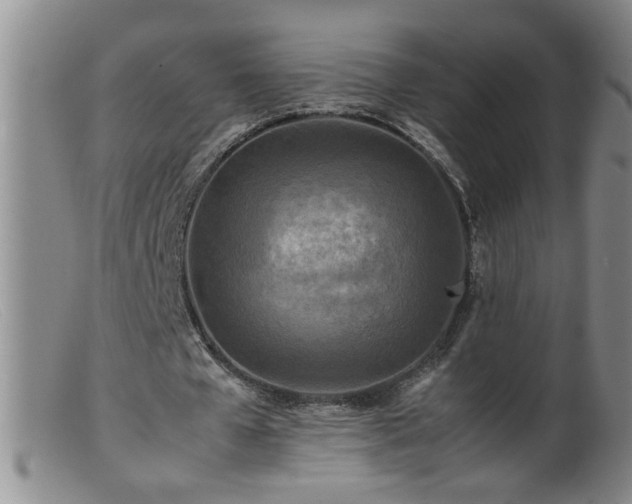 X0000099460577200805161049