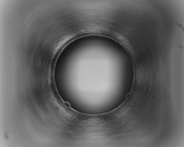 X0000099460578200805161049