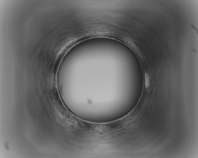 X0000099460579200805161049