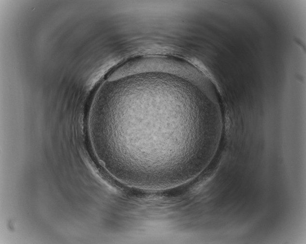 X0000099460581200805161049