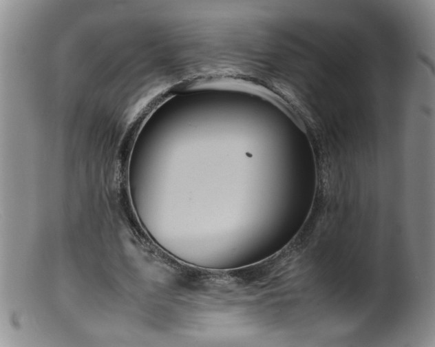 X0000099460583200805161049