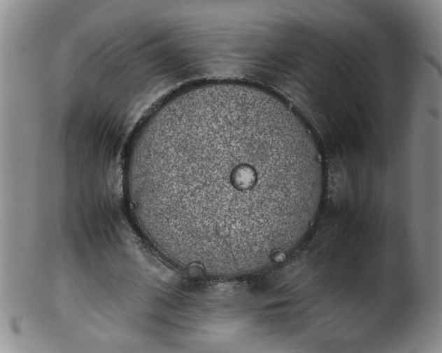 X0000099460584200805161049