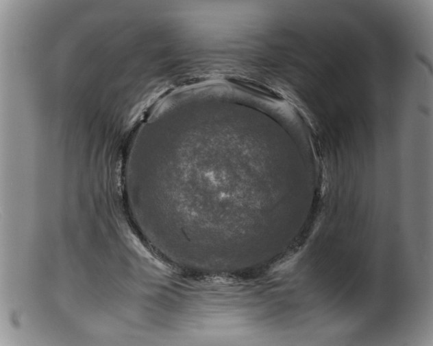 X0000099460585200805161049