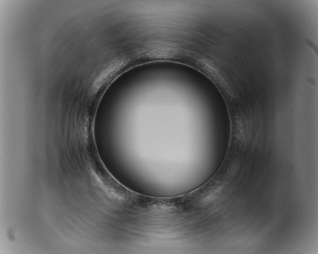 X0000099460586200805161049