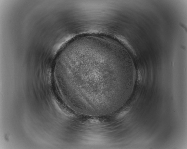 X0000099460588200805161049