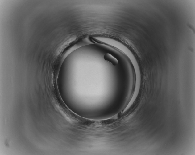 X0000099460589200805161049