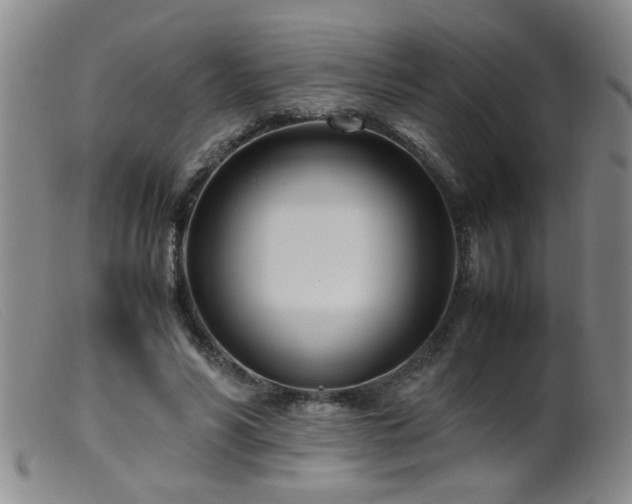 X0000099460590200805161049