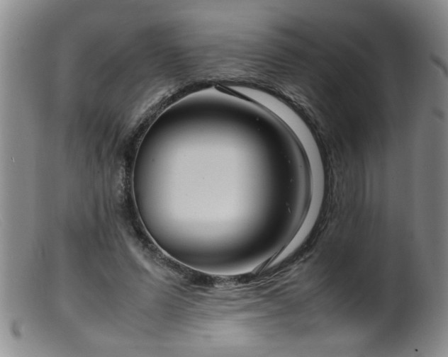 X0000099460591200805161049