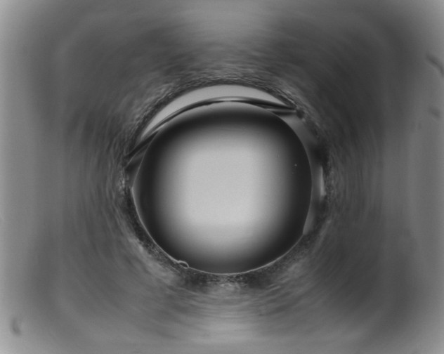 X0000099460593200805161049