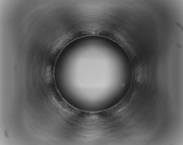 X0000099460594200805161049